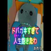 ヒメ日記 2026/10/09 12:20 投稿 まよい【爆乳絶対的プリンセス】 ポニーテール和歌山店