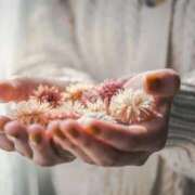 ヒメ日記 2025/11/19 07:20 投稿 そにあ 熟女の風俗最終章 相模原店