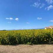 ヒメ日記 2026/02/11 12:36 投稿 まこと sakura