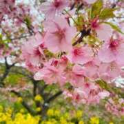 ヒメ日記 2026/02/28 16:52 投稿 まこと sakura