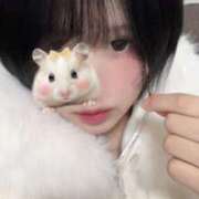 ヒメ日記 2025/11/29 12:51 投稿 せりか 舐めフェチの会