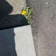 ヒメ日記 2026/03/21 11:51 投稿 せりか 舐めフェチの会