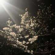 ヒメ日記 2026/03/29 01:31 投稿 せりか 舐めフェチの会