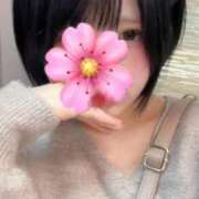 ヒメ日記 2026/04/02 12:22 投稿 せりか 舐めフェチの会