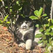 ヒメ日記 2026/04/11 22:34 投稿 せりか 舐めフェチの会