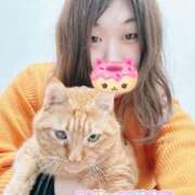 ヒメ日記 2026/02/11 15:21 投稿 さやか 奥様さくら難波店