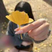 ヒメ日記 2025/11/26 00:27 投稿 咲坂優香-YUKA- Casual Rich 5（カジュアルリッチファイブ）