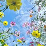 ヒメ日記 2025/11/11 08:28 投稿 井川まいか 東京不倫～とうきょうふりん～