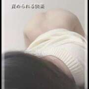 ヒメ日記 2025/11/16 10:55 投稿 さとみ ぽちゃSPA