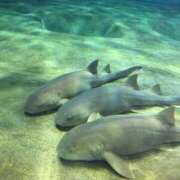 あみか こんにちは😊❤️ 茨城水戸ちゃんこ