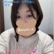 さやか さやか（clubさくら難波店） clubさくら難波店