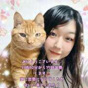 ヒメ日記 2026/04/20 10:57 投稿 さやか clubさくら難波店