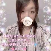 さやか さやか（clubさくら難波店） clubさくら難波店