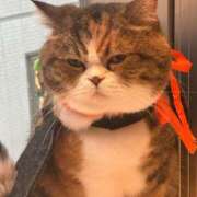 ヒメ日記 2025/11/28 06:20 投稿 Konatsu ワンカラット～人妻の輝き～