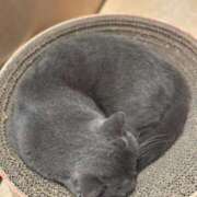 Konatsu エクストラ仲良し??♀? ワンカラット～人妻の輝き～