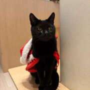 Konatsu 昨日の朝イチのおにいさま！！? ワンカラット～人妻の輝き～