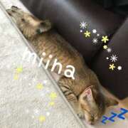 ヒメ日記 2025/11/17 22:48 投稿 ミイナ★容姿端麗 BITEKI