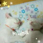 ヒメ日記 2025/11/21 23:46 投稿 ミイナ★容姿端麗 BITEKI