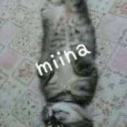 ヒメ日記 2025/11/29 22:58 投稿 ミイナ★容姿端麗 BITEKI