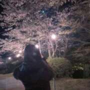 ヒメ日記 2025/11/14 01:36 投稿 あむ デリヘルラボ・クレージュ