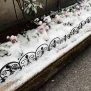 ヒメ日記 2026/02/08 12:49 投稿 こむぎ コスプレ痴漢電車