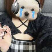 ヒメ日記 2026/02/20 14:46 投稿 まお E+アイドルスクール池袋店