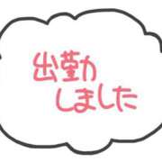 ヒメ日記 2026/01/11 15:46 投稿 こむぎ 全裸SUPERプレミアム