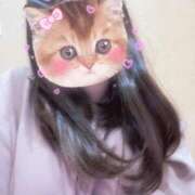 ヒメ日記 2026/02/11 09:38 投稿 こむぎ 全裸SUPERプレミアム