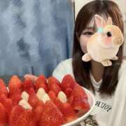 ヒメ日記 2026/02/05 20:07 投稿 りり 白いぽっちゃりさん錦糸町店