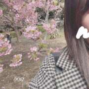 ヒメ日記 2026/02/28 08:29 投稿 よもぎ sweet kiss