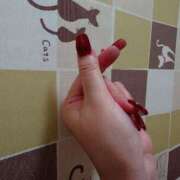 ヒメ日記 2025/11/23 14:31 投稿 藤堂 BBW横浜店