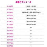 ヒメ日記 2025/11/24 10:15 投稿 藤堂 BBW横浜店