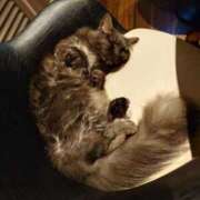 ヒメ日記 2025/11/25 07:55 投稿 藤堂 BBW横浜店