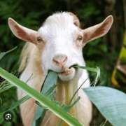 ヒメ日記 2025/11/25 12:47 投稿 藤堂 BBW横浜店