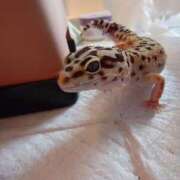 ヒメ日記 2025/11/25 18:13 投稿 藤堂 BBW横浜店