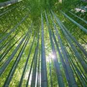 ヒメ日記 2025/11/27 01:02 投稿 藤堂 BBW横浜店