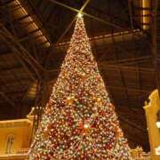 ヒメ日記 2025/11/28 23:06 投稿 藤堂 BBW横浜店