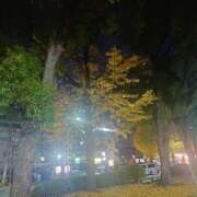 ヒメ日記 2025/11/29 01:07 投稿 藤堂 BBW横浜店