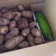 ヒメ日記 2025/11/29 09:04 投稿 藤堂 BBW横浜店