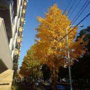 ヒメ日記 2025/11/30 17:25 投稿 藤堂 BBW横浜店