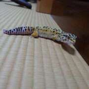 ヒメ日記 2025/12/01 10:58 投稿 藤堂 BBW横浜店