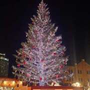 ヒメ日記 2025/12/13 17:11 投稿 藤堂 BBW横浜店