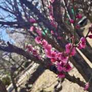 ヒメ日記 2026/01/25 22:01 投稿 藤堂 BBW横浜店