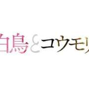 ヒメ日記 2026/09/07 19:29 投稿 藤堂 BBW横浜店