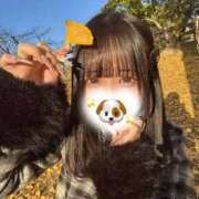 こだま 次回案内20時〜🈳 マリン熊本本店