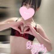 こだま 15時から今日もいてり(ᐡ⸝⸝- -⸝⸝ᐡ) マリン熊本本店