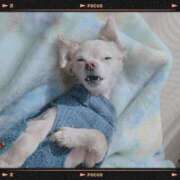 ヒメ日記 2026/02/03 14:22 投稿 るな・SP やまとなでしこ桜組