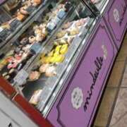 ヒメ日記 2026/02/10 13:30 投稿 るな・SP やまとなでしこ桜組