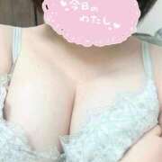 ヒメ日記 2026/02/28 18:30 投稿 とわ リアル難波店