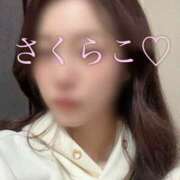 ヒメ日記 2026/03/04 01:37 投稿 さくらこ 東京人妻セレブリティ（ユメオト）